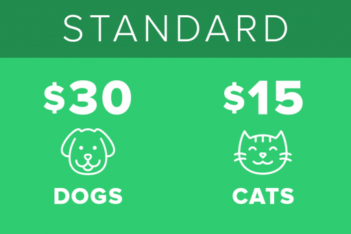 Standard Pet Insurance